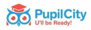 pupilcity yatay logo